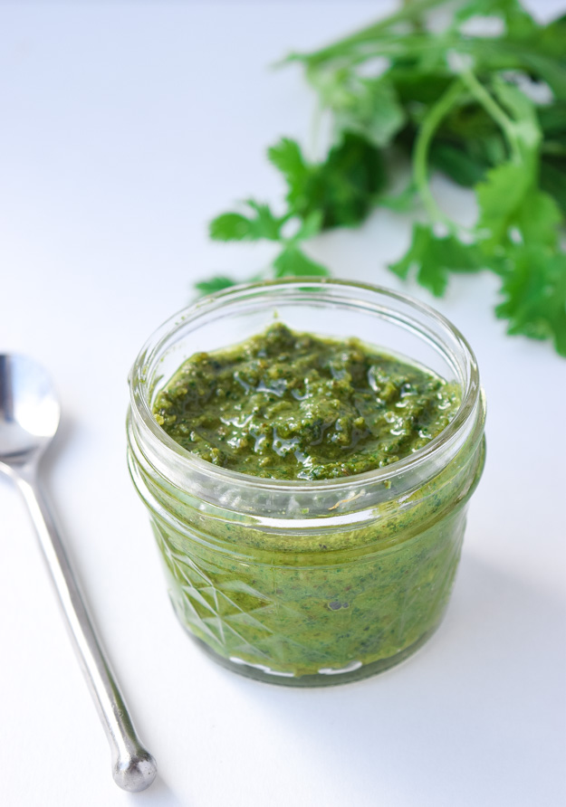 Mixed Herb Pesto - A simple, fresh pesto excellent on sandwiches, pasta, salads, meat, and more. Great use for fresh herbs from your garden! | tastythin.com