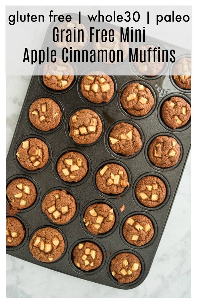 grain free Mini Apple Cinnamon Blender Muffins